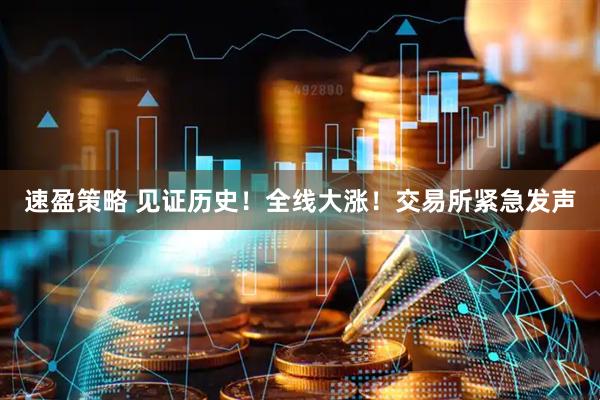 速盈策略 见证历史！全线大涨！交易所紧急发声