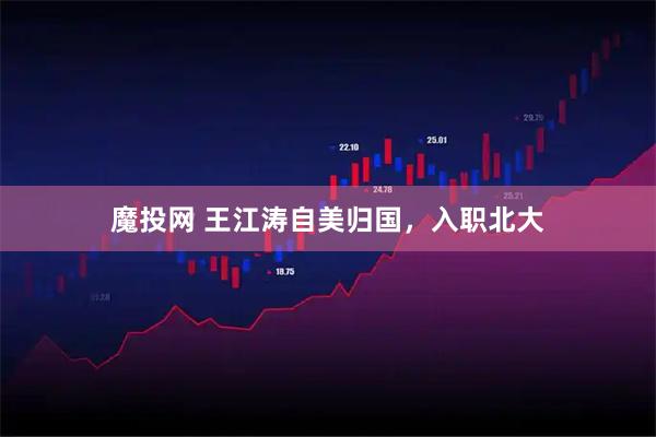 魔投网 王江涛自美归国，入职北大