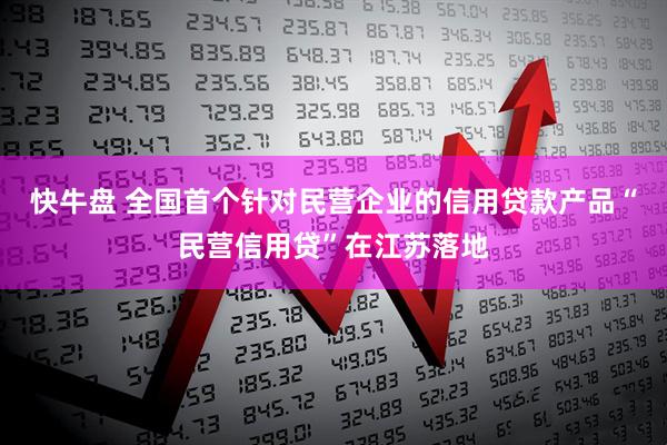 快牛盘 全国首个针对民营企业的信用贷款产品“民营信用贷”在江苏落地