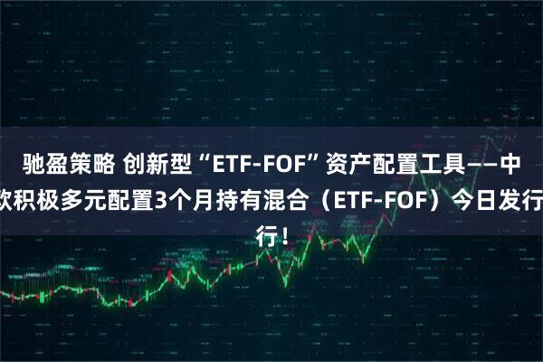 驰盈策略 创新型“ETF-FOF”资产配置工具——中欧积极多元配置3个月持有混合（ETF-FOF）今日发行！