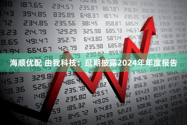海顺优配 由我科技：延期披露2024年年度报告