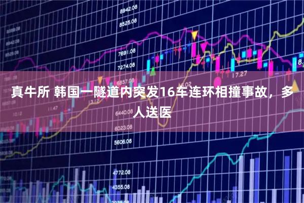 真牛所 韩国一隧道内突发16车连环相撞事故，多人送医
